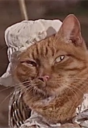 Thomasina, the Three Lives of Thomasina (1963)