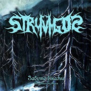 Stryvigor - Forgotten by Ages