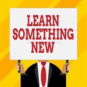 Learn the Basics of a New Subject