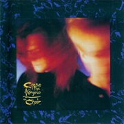 The Choir Chase the Kangaroo