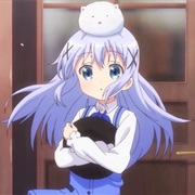 Is the Order a Rabbit