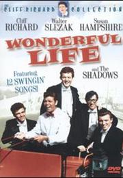 Wonderful Life (Sidney J. Furie)