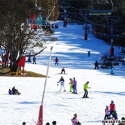 Thredbo