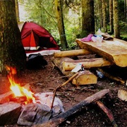 Borjomi-Kharagauli National Park, Georgia