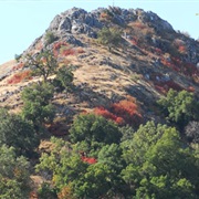 Fremont Peak State Park, California
