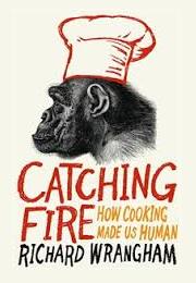 Catching Fire by Richard Wrangham