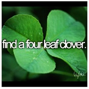 Find a Four Leaf Clover