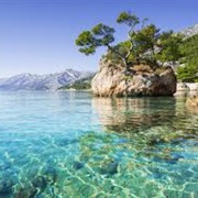 Dalmatian Coast
