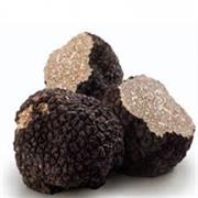 Black Perigord Truffle