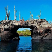 Los Túneles, Galápagos Islands