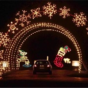 Jolly Holiday Lights