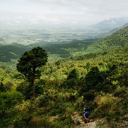 North South Track Kaimais