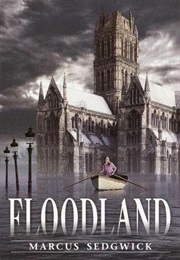 Floodland (Marcus Sedgwick)