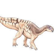 Tenontosaurus