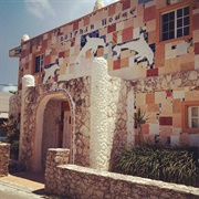 Dolphin House Bimini