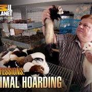 Confessions Animal Hoarding