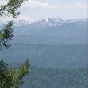 Mendocino National Forest