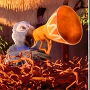 African Grey Announcer