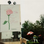 Muppets on Location: The Days of Swine & Roses