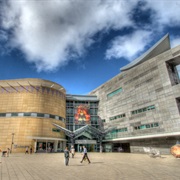 Museum of New Zealand (Wellington, New Zealand)