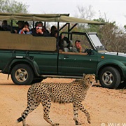 Kruger National Park, Mpumalanga