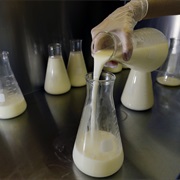 Human Breast Milk