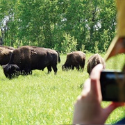 Riding Mountain National Park