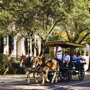 Carriage Tour of Charleston, SC