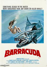 Barracuda – Harry Kerwin (1977)