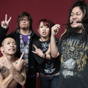 Maximum the Hormone