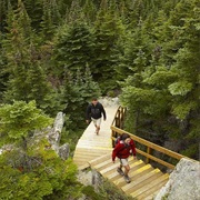 Twillingate Trail, NL Canada