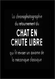 Chat En Chute Libre (1894) (1901)