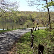 Pittsfield State Forest, Massachusetts