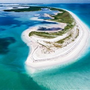 Honeymoon Island State Park, Florida