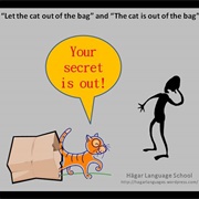 To Let the Cat Out of the Bag