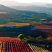 La Rioja Wine Country, Spain