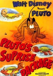 Pluto's Surprise Package (1949)