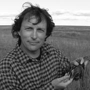 Nils-Åke Lindström