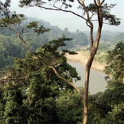 Taman Negara National Park, Malaysia