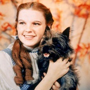 Dorothy Gale - The Wizard of Oz