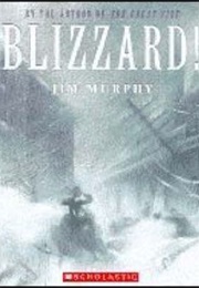 Blizzard (Jim Murphy)