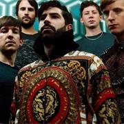 Foals