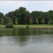 Acton Park
