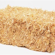 Hay