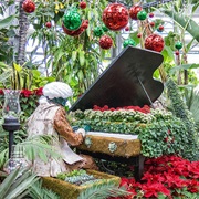 Allan Gardens Conservatory, Toronto