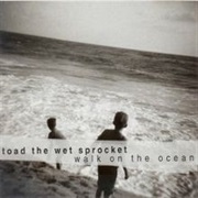 Walk on the Ocean - Toad the Wet Sprocket