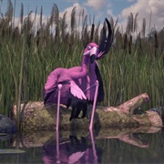 Straight Flamingo