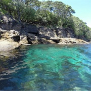 Goat Island