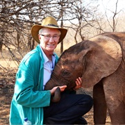 Paul O'grady's Animal Orphans