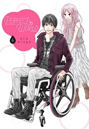 Perfect World Vol. 6 (Rie Aruga)